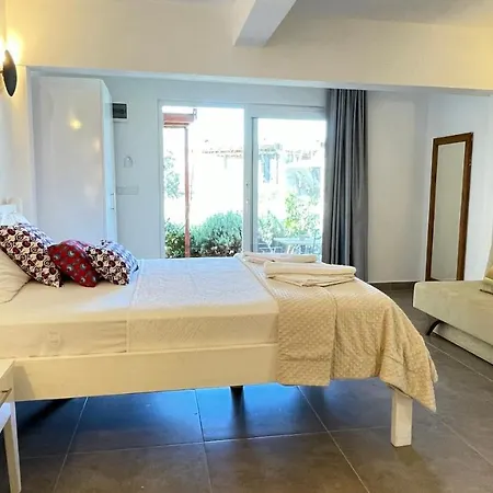 Kaktus Kaş