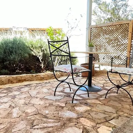 Kaktus Kaş