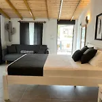 Kaktus 3*
