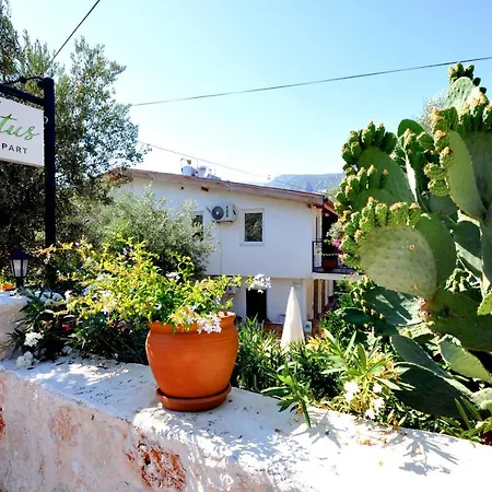 Kaktus 3* Kaş