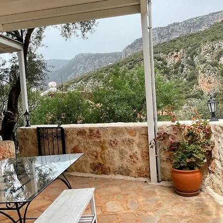 Kaktus Aparthotel 3*