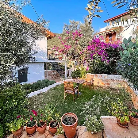 Kaktus Apartahotel 3*