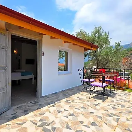 Apartahotel Kaktus 3*