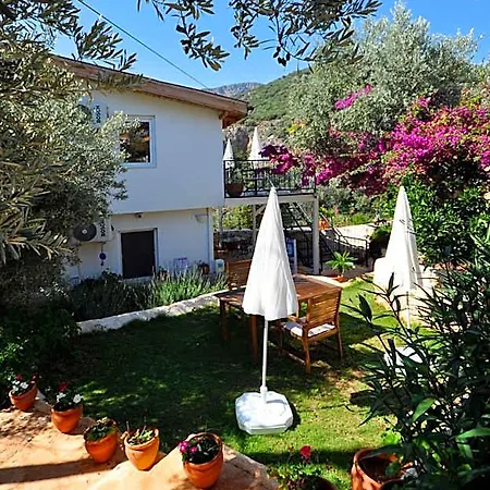 Hotel apartamentowy Kaktus 3*