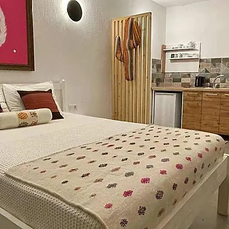 Kaktus Kaş