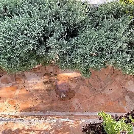 Kaktus 3* Kaş