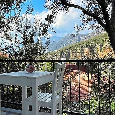 Apartahotel Kaktus
