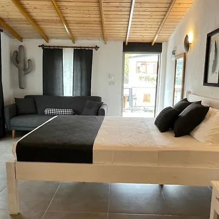 Kaktus 3*